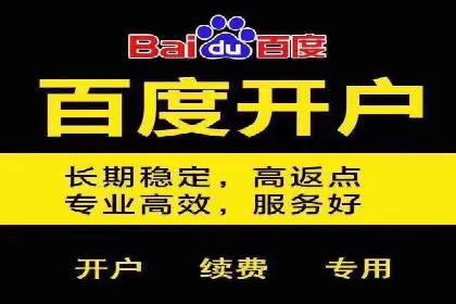 抖音平台：信息流广告案例分析